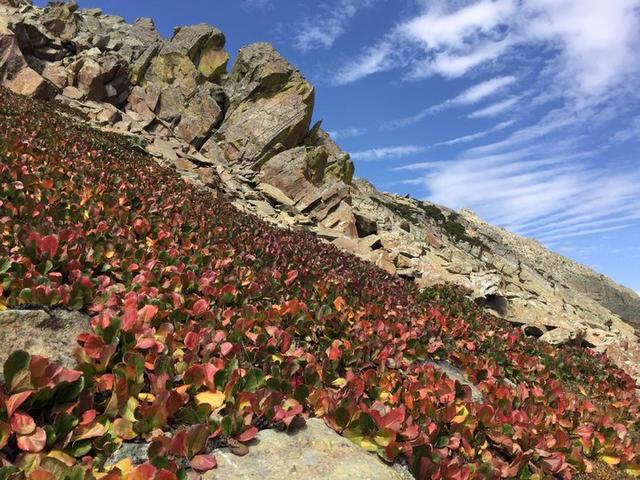 鮮為人知的徒步路線,克什米爾最受歡迎的地方之一