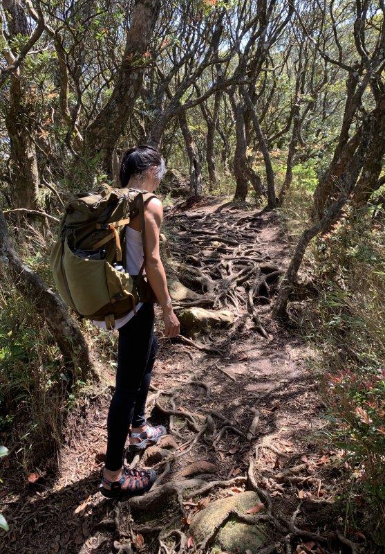 KEEN戶外運動涼鞋,該如何挑選最適合自己的涼鞋呢?