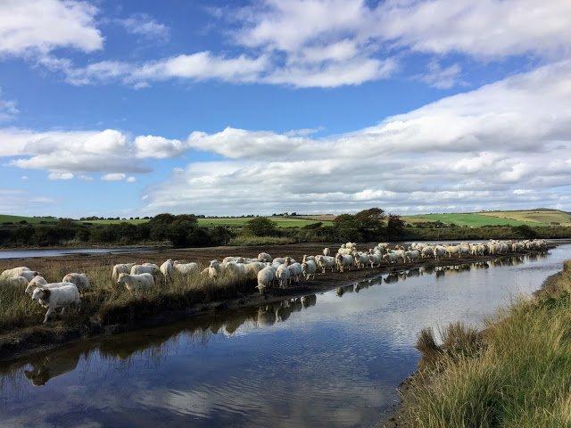英格蘭南唐斯丘陵國家公園,喜歡徒步旅行的露營的都可以來這