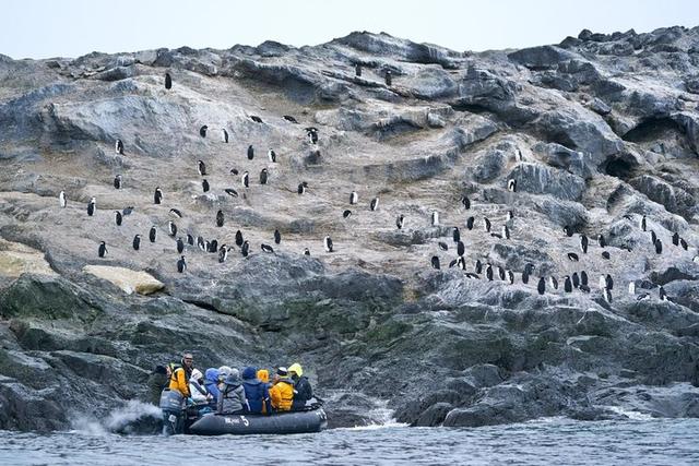 越過南極才算環(huán)游世界,想看去南極旅游的游記在這里