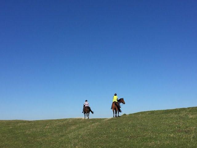 英格蘭南唐斯丘陵國家公園,喜歡徒步旅行的露營的都可以來這