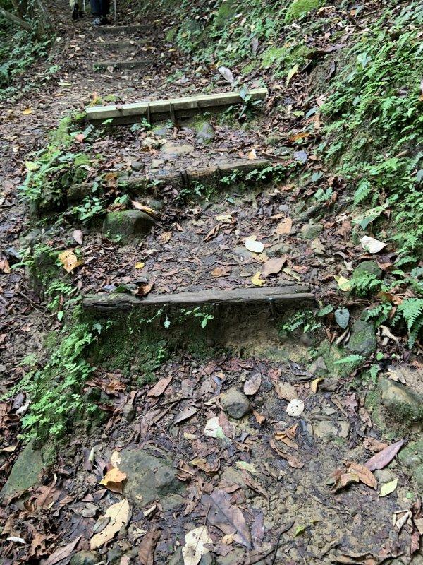 穿上Columbia哥倫比亞防水徒步鞋,隨時說走就走的輕松郊外游