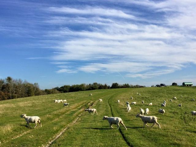 英格蘭南唐斯丘陵國家公園,喜歡徒步旅行的露營的都可以來這