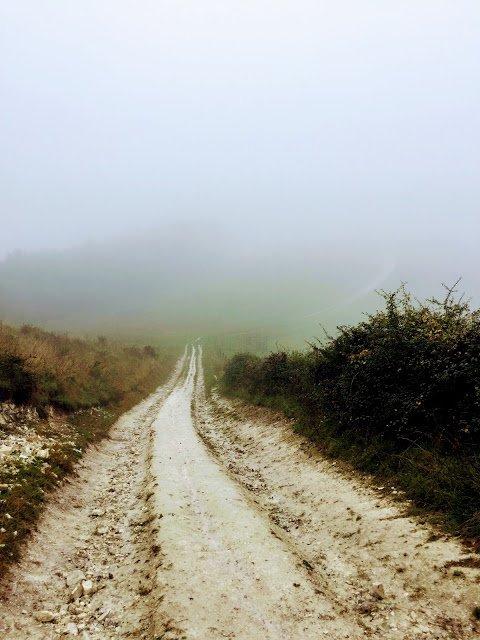 英格蘭南唐斯丘陵國家公園,喜歡徒步旅行的露營的都可以來這