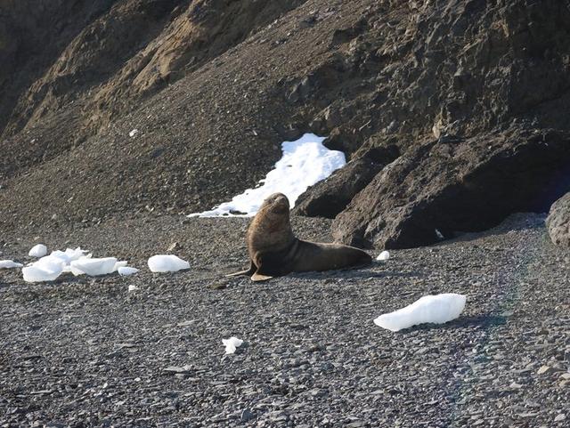 越過南極才算環(huán)游世界,想看去南極旅游的游記在這里