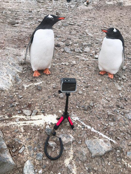 越過南極才算環(huán)游世界,想看去南極旅游的游記在這里