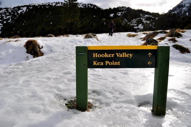 新西蘭自助徒步旅行,行走新西蘭南島庫克山國家公園胡克谷步道
