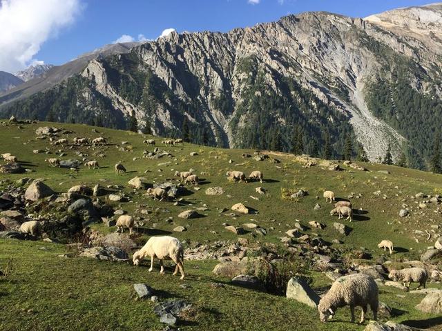 鮮為人知的徒步路線,克什米爾最受歡迎的地方之一
