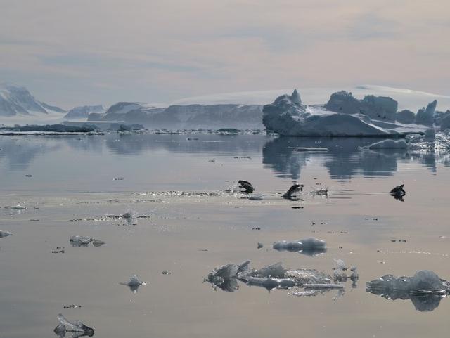 越過南極才算環(huán)游世界,想看去南極旅游的游記在這里