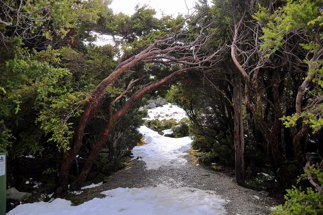 新西蘭自助徒步旅行,行走新西蘭南島庫克山國家公園胡克谷步道