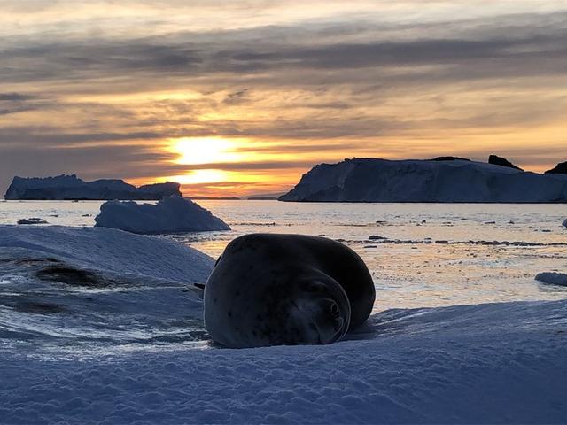 越過南極才算環(huán)游世界,想看去南極旅游的游記在這里