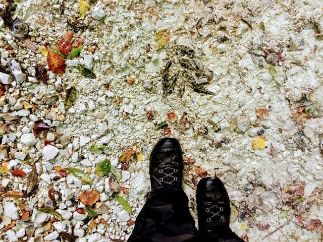 英格蘭南唐斯丘陵國家公園,喜歡徒步旅行的露營的都可以來這