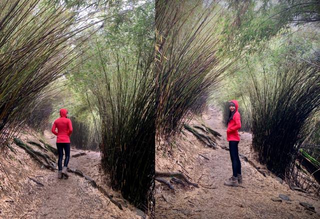 Icebreaker連帽羊毛外套評測,一穿就愛上的新西蘭戶外品牌