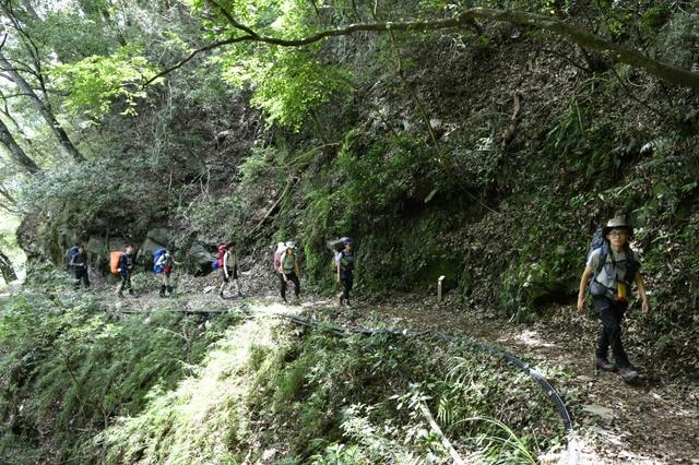 Oofos運動恢復拖鞋實測,丟了你那雙在超市里買的拖鞋吧