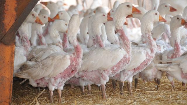 戶外睡袋該怎么選?只有它可以帶給你溫暖