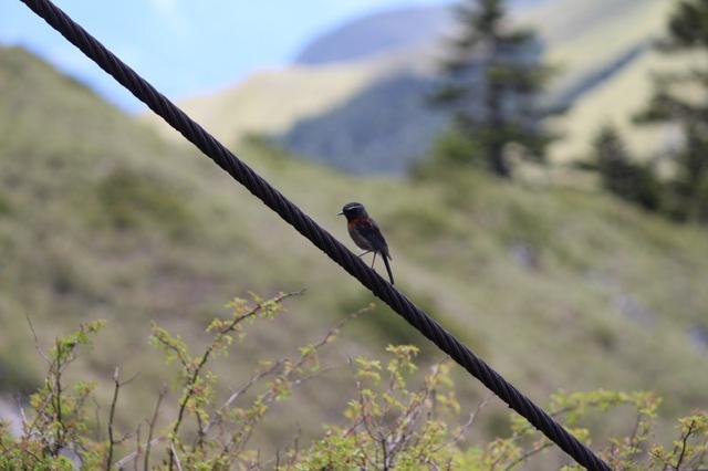 山浩Mountain Hardwear沖鋒衣和沖鋒褲實測,陪你走濕路