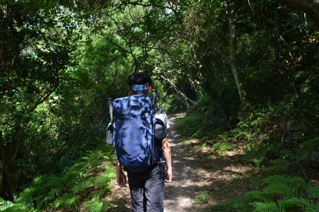 適合新手入門的一款登山背包,Lowe Alpine戶外背包測評