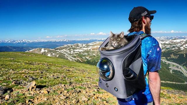 可以帶貓去爬山嗎?這只貓跟著主人游山玩水成為“網(wǎng)紅”