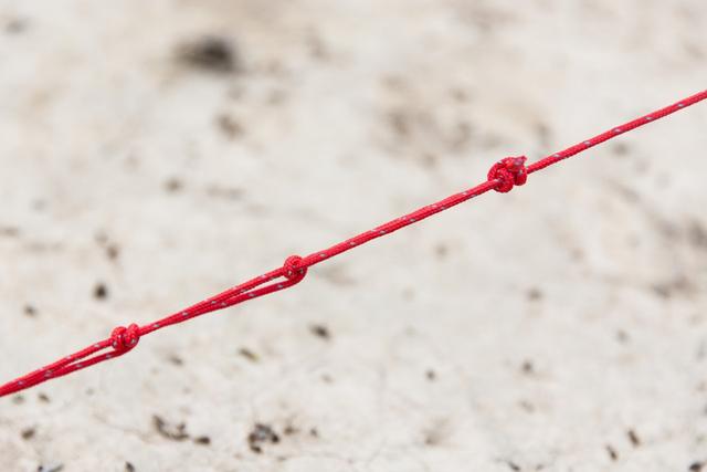 實用野外露營教學,學會5種常用繩結從此露營不必怕