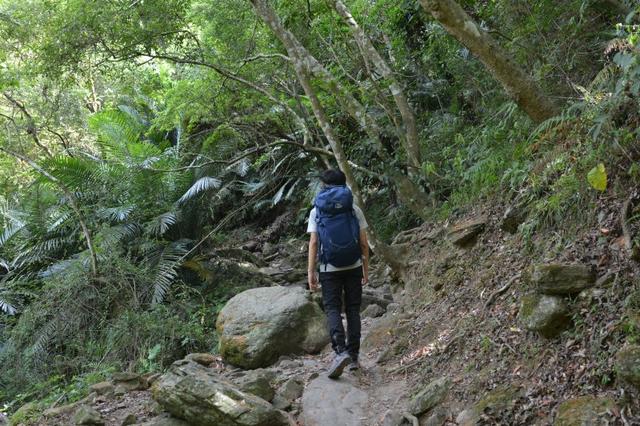 適合新手入門的一款登山背包,Lowe Alpine戶外背包測評