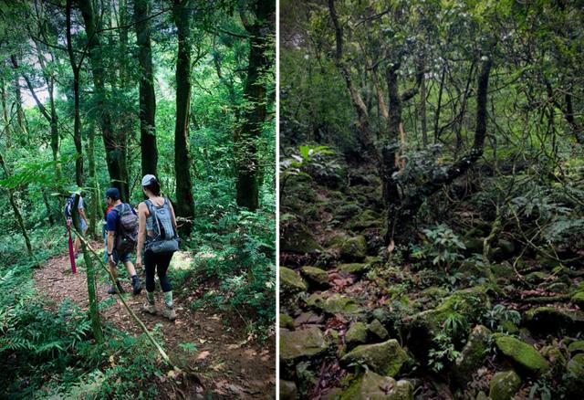 KEEN透氣舒適女生專屬溯溪涼鞋測評,夏日必備的戶外鞋