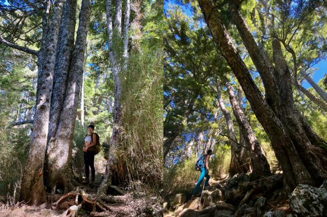 小眾戶外品牌Rab連帽防水外套測評,適合春夏使用的輕量沖鋒衣