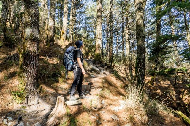 montbell羊毛排汗短袖T恤實測,夏天也能穿的毛衣