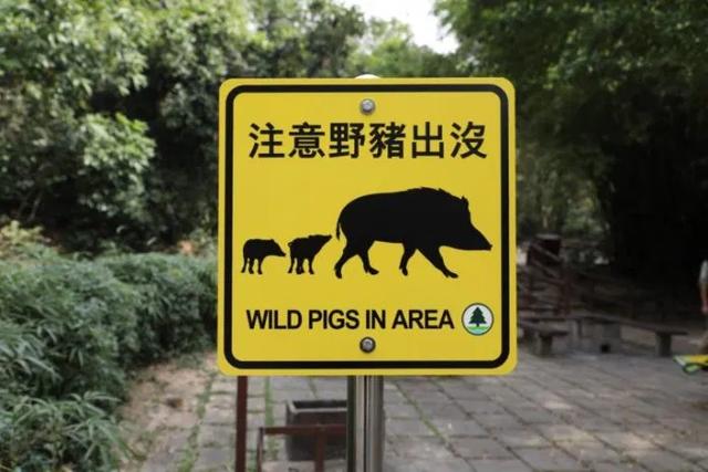 在戶外野營的常識,野炊的技巧和注意事項