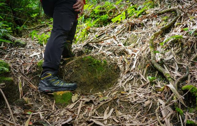 重裝徒步三日活動，戶外鞋、背包和羊毛衣襪測評體驗