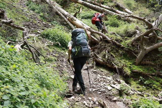 看測評買好貨,攀山鼠klattermusen耐磨登山長褲體驗
