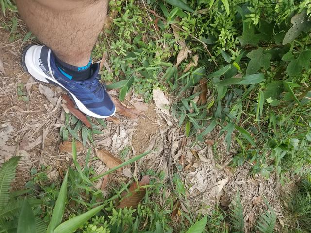 Salomon薩洛蒙越野跑徒步鞋體驗報告,值得入手的一雙鞋