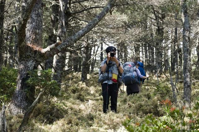 看測評買好貨,攀山鼠klattermusen耐磨登山長褲體驗
