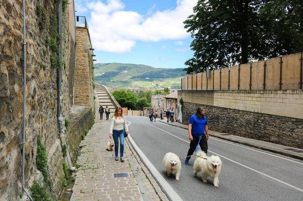 徒步西班牙朝圣之路,法國之路旅行體驗分享