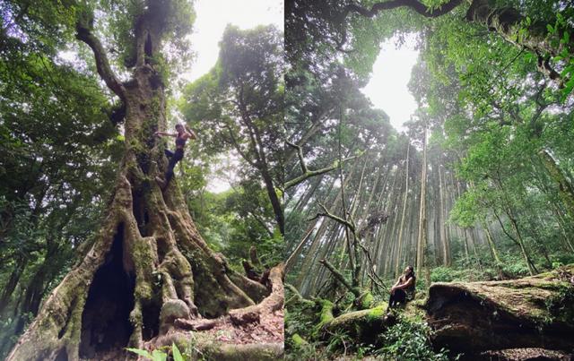 哪雙運動拖鞋最值得買?這雙OOFOS拖鞋你了解下