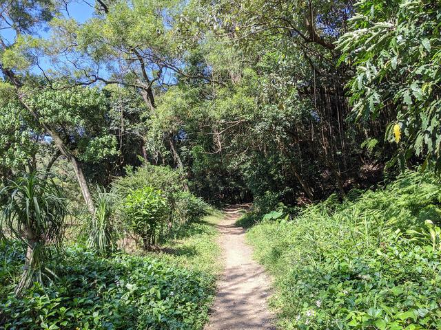 戶外徒步穿什么鞋適合?教你如何挑鞋襪子登山杖