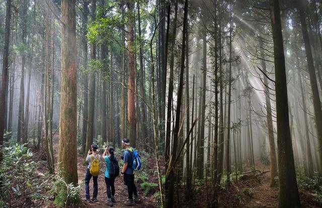 哪雙運動拖鞋最值得買?這雙OOFOS拖鞋你了解下