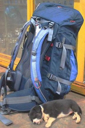 登山包與旅游背包區別,如何挑選適合自己的背包?