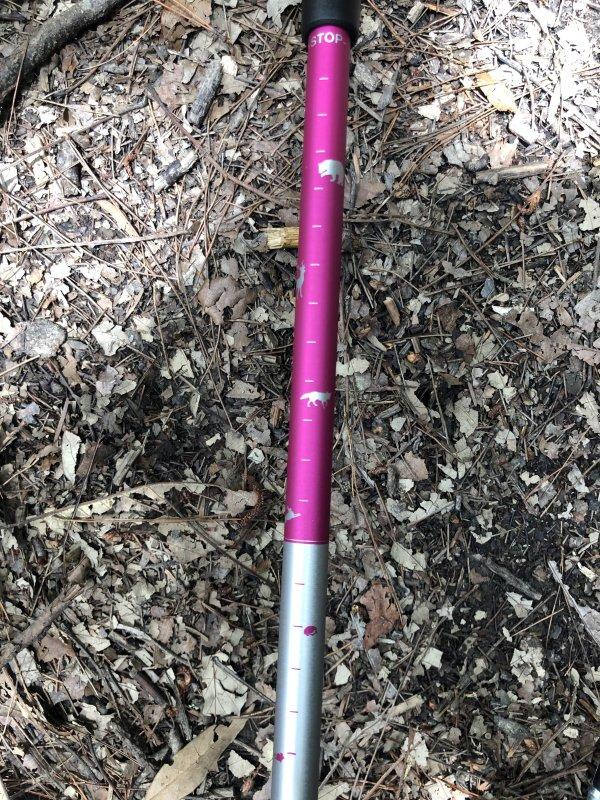 Komperdell兒童登山杖,親子徒步的好伙伴