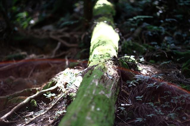 沖頂包用途是什么?裝什么?沖頂包推薦挑選攻略