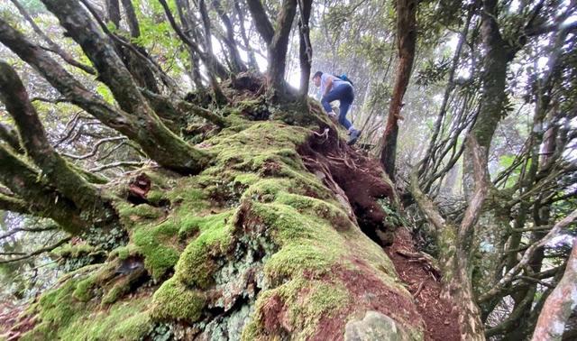 哪雙運動拖鞋最值得買?這雙OOFOS拖鞋你了解下