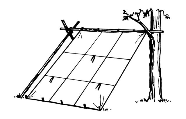 野營露營,13款你也不知道的露營帳篷款式