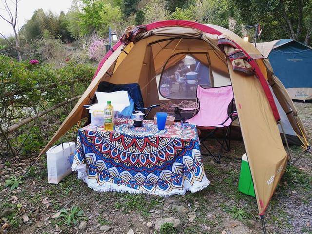 帳篷推薦,這幾款新手入門帳篷可以看看