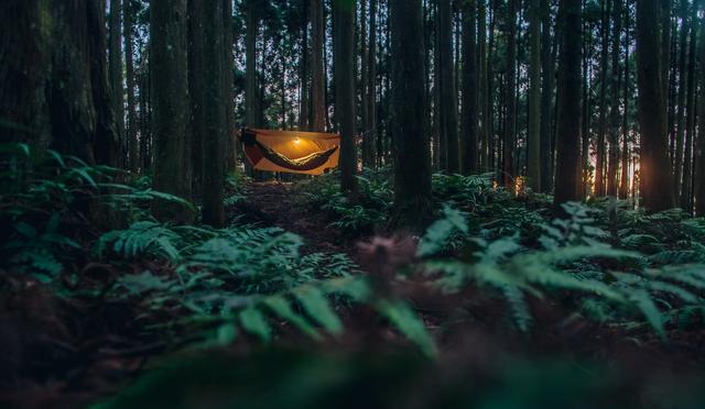 吊床露營,帳篷搭在半空中的另類露營活動