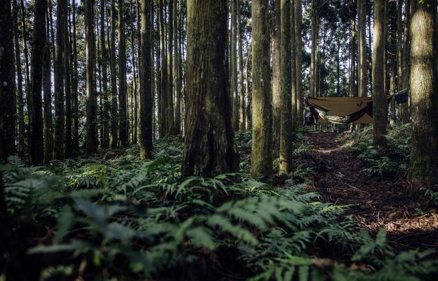 野外露營,比帳篷更有趣的吊床如何選擇?