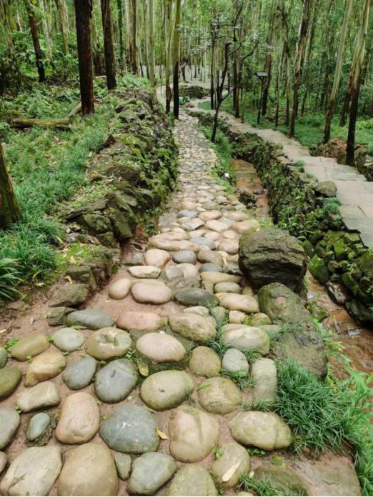 KAILAS凱樂石的旗艦級越野跑山鞋—FUGA PRO 3測評