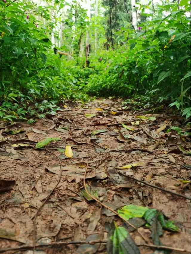 KAILAS凱樂石的旗艦級越野跑山鞋—FUGA PRO 3測評