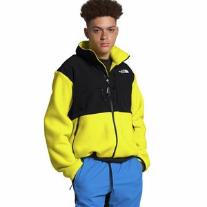 The North Face北面 95 Retro Denali Jacket男款復古抓絨夾克