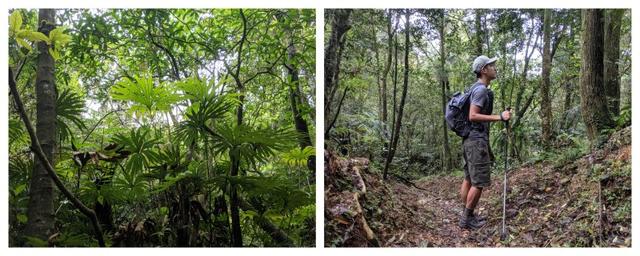 眼見為實,keen低幫徒步登山鞋戶外實測體驗