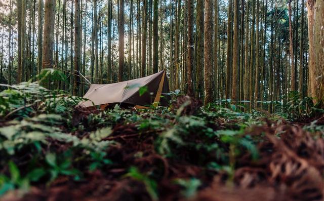 野外露營,比帳篷更有趣的吊床如何選擇?