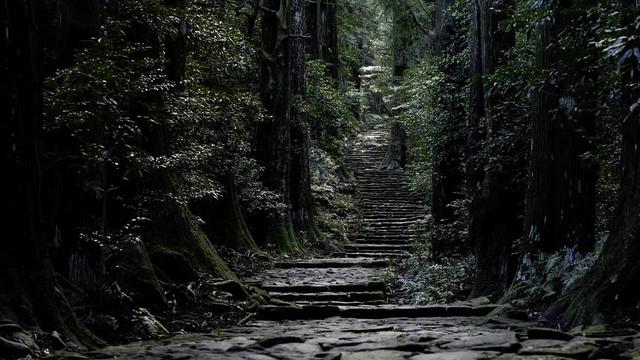 先存起來以后去,盤點全球10條經(jīng)典徒步路線(上篇)